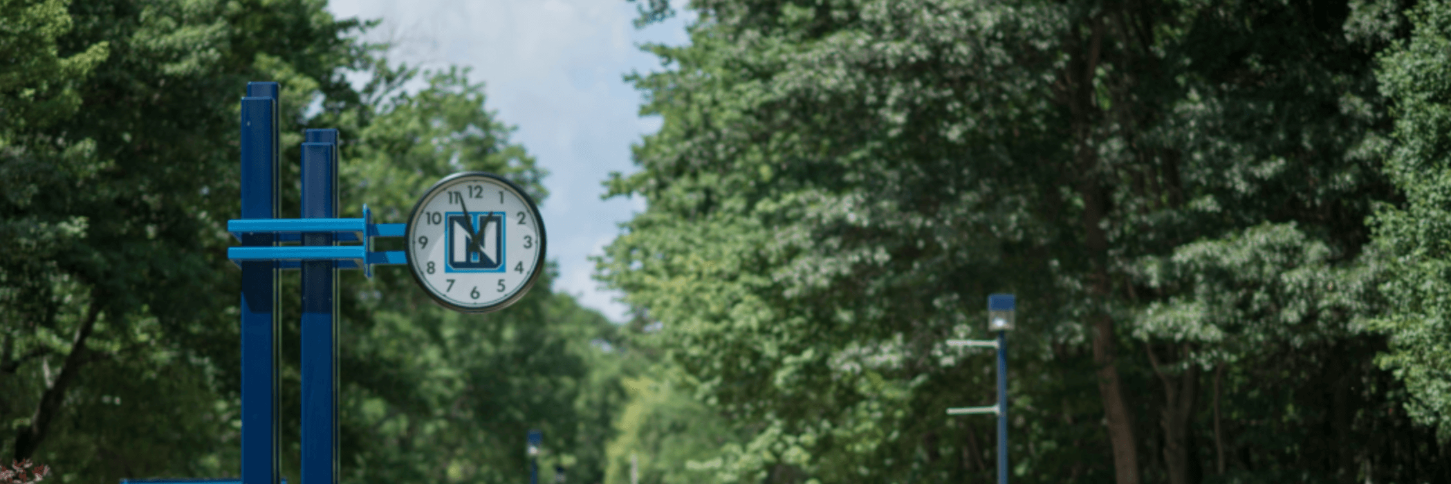 Transfer to Northwood Northwood University