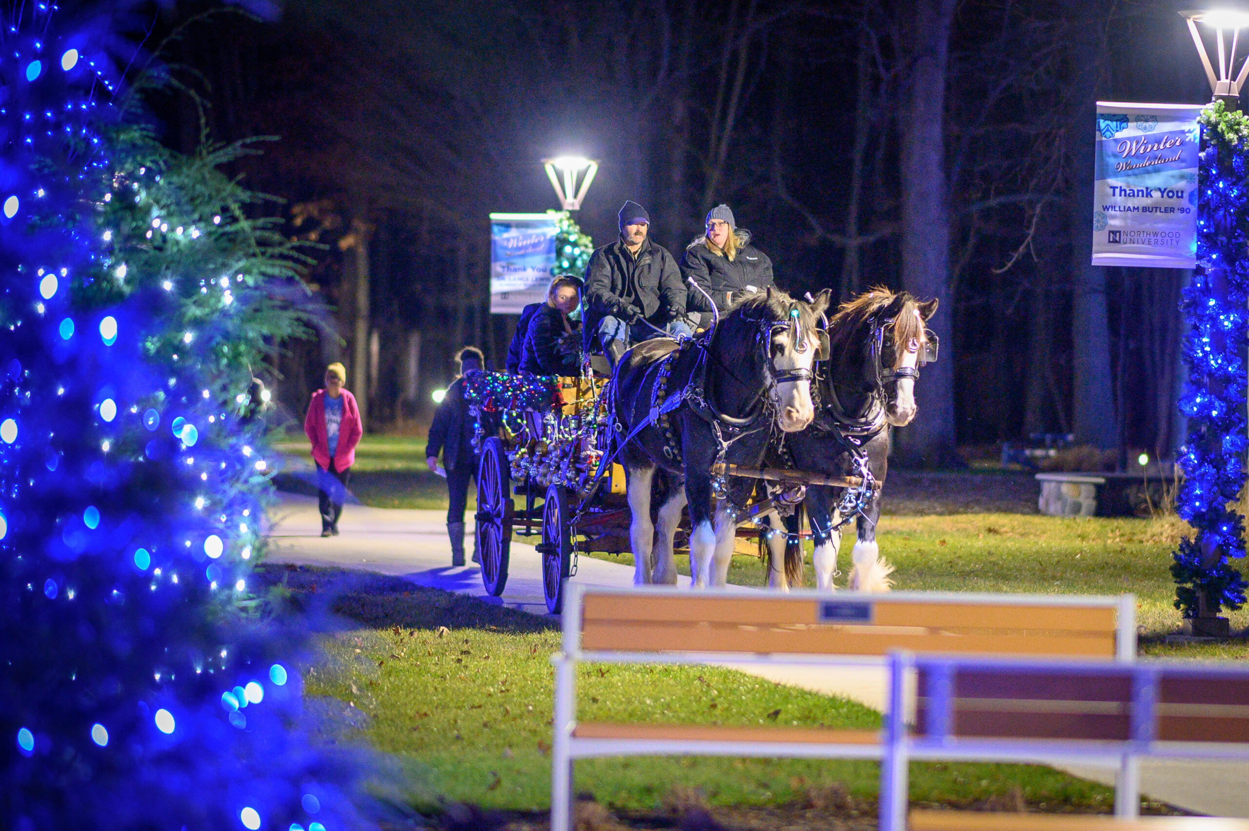 Horse carriage rides through the Mall Walk surrounded by bright blue Christmas trees