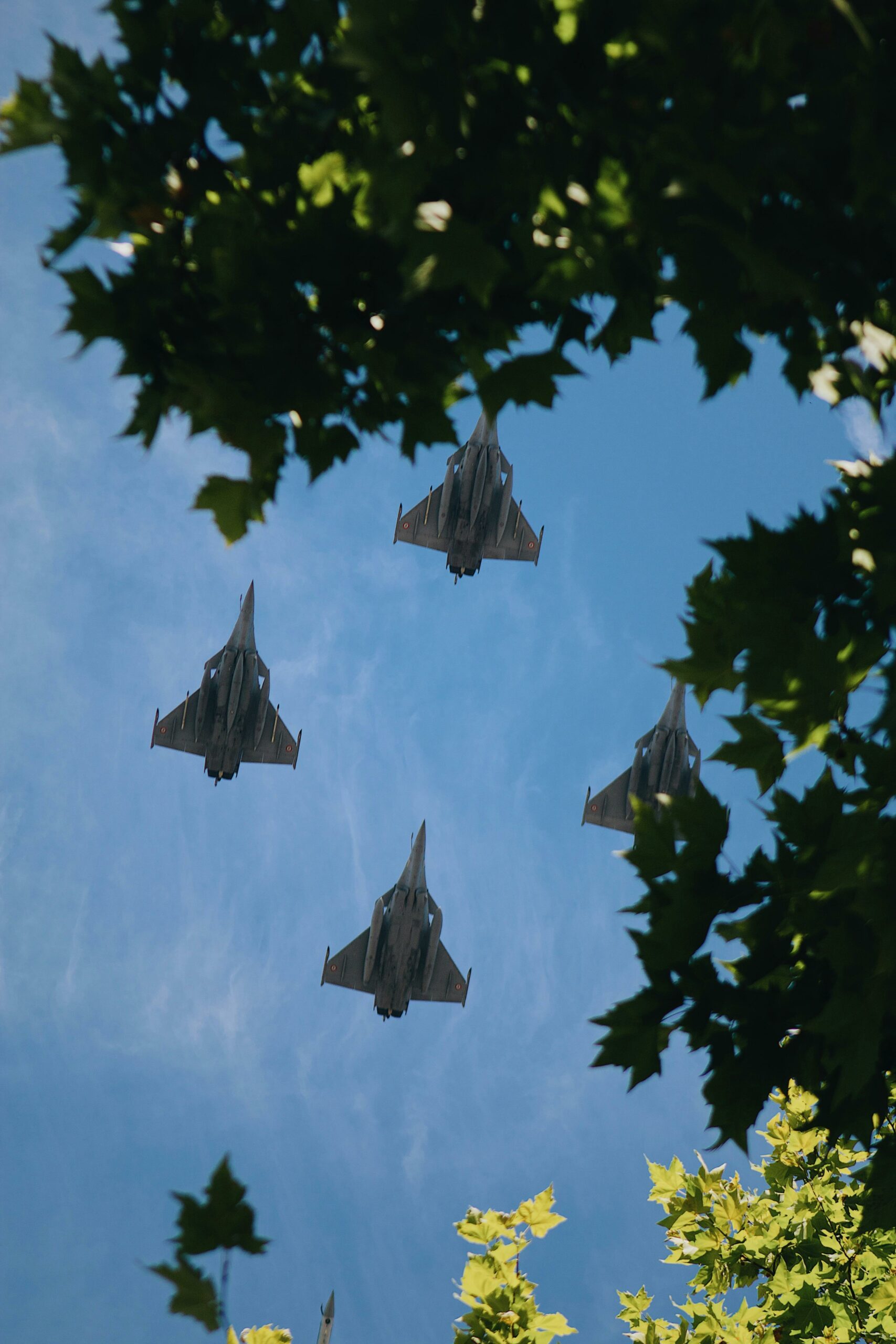 Airforce planes in the sky with foliage surrounding the picture